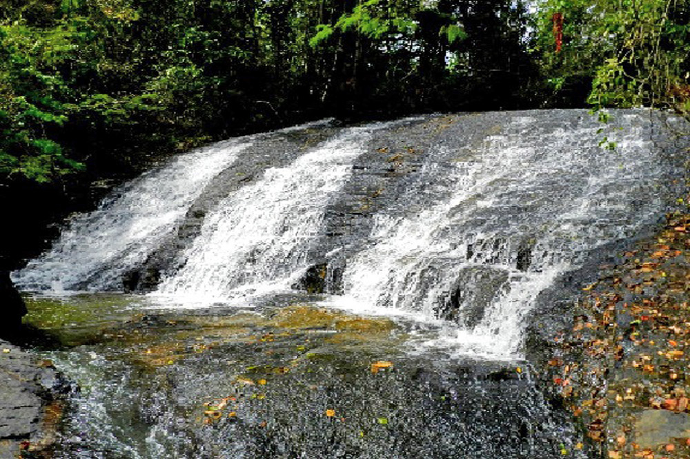 Cachoeira da Floresta