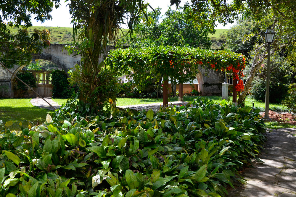 Tour da Experiência no Vale do Café - Visita Guiada e Lanche no Antigo Engenho do Visconde de Rio Preto - Fazenda do Paraízo - Rio das Flores